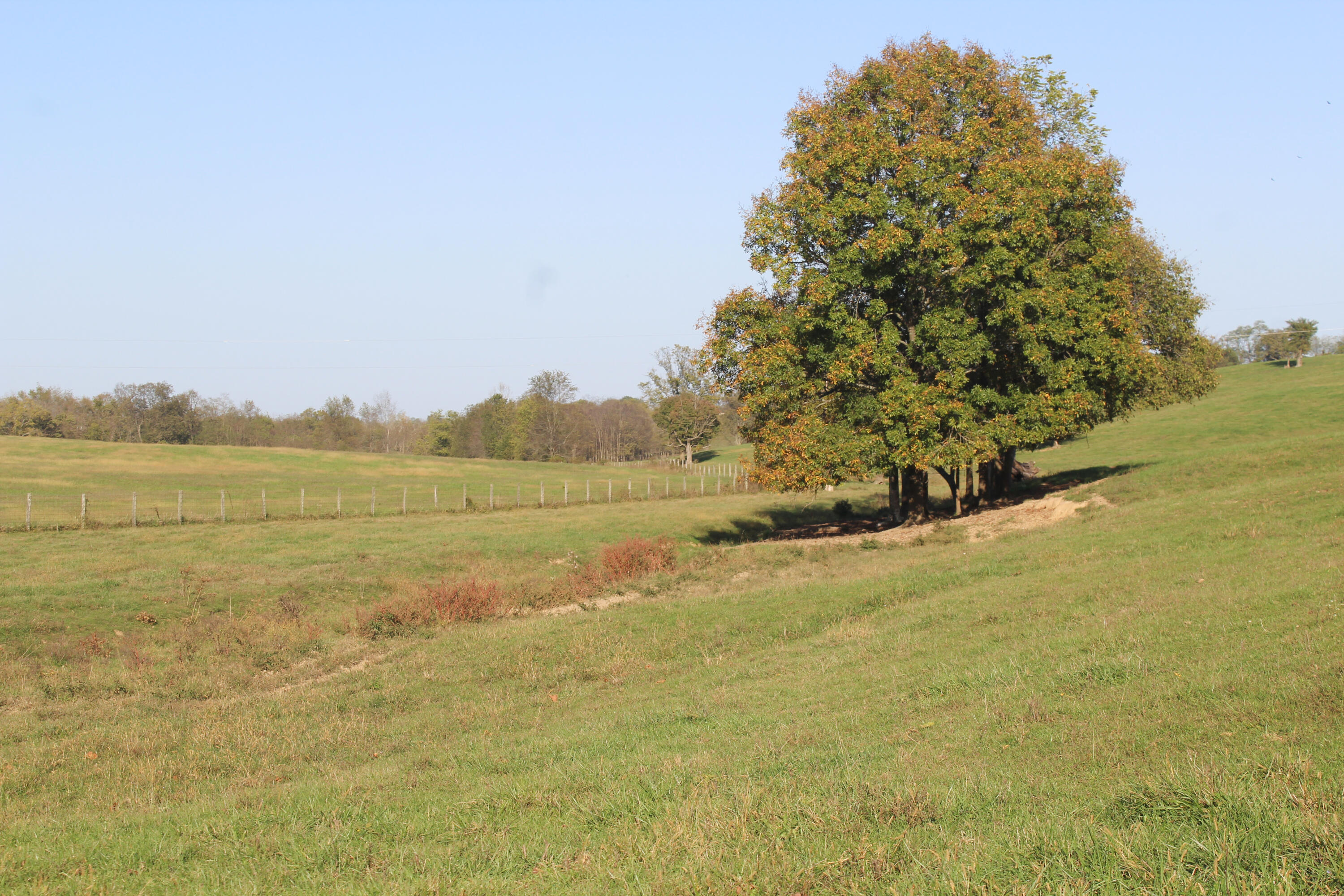 4031 Cynthiana Road Paris, KY 40361 - Photo 31 of 37 IMG_6602