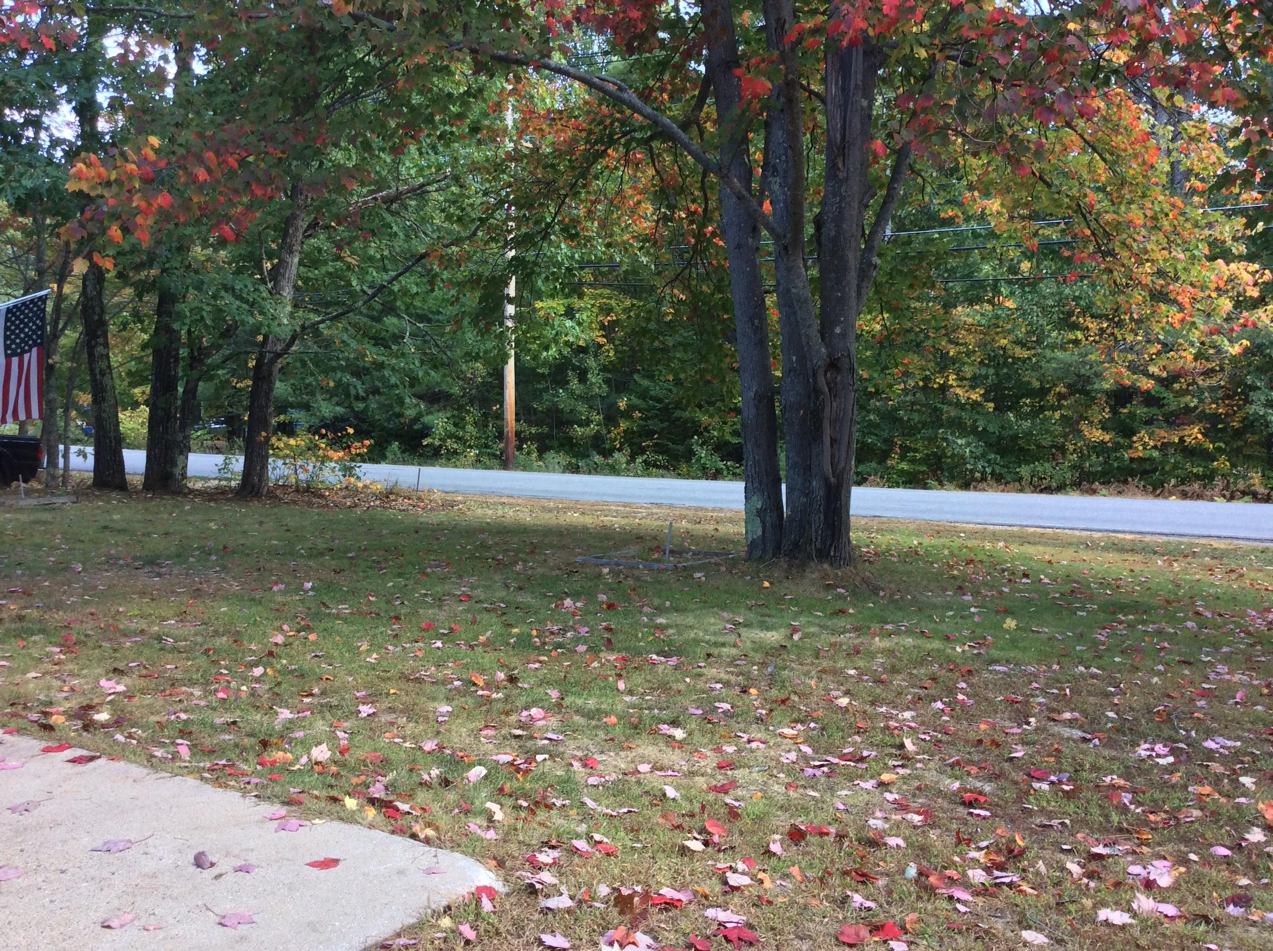 141 Kansas Road Bridgton, ME 04009 - Photo 29 of 35 IMG_1769