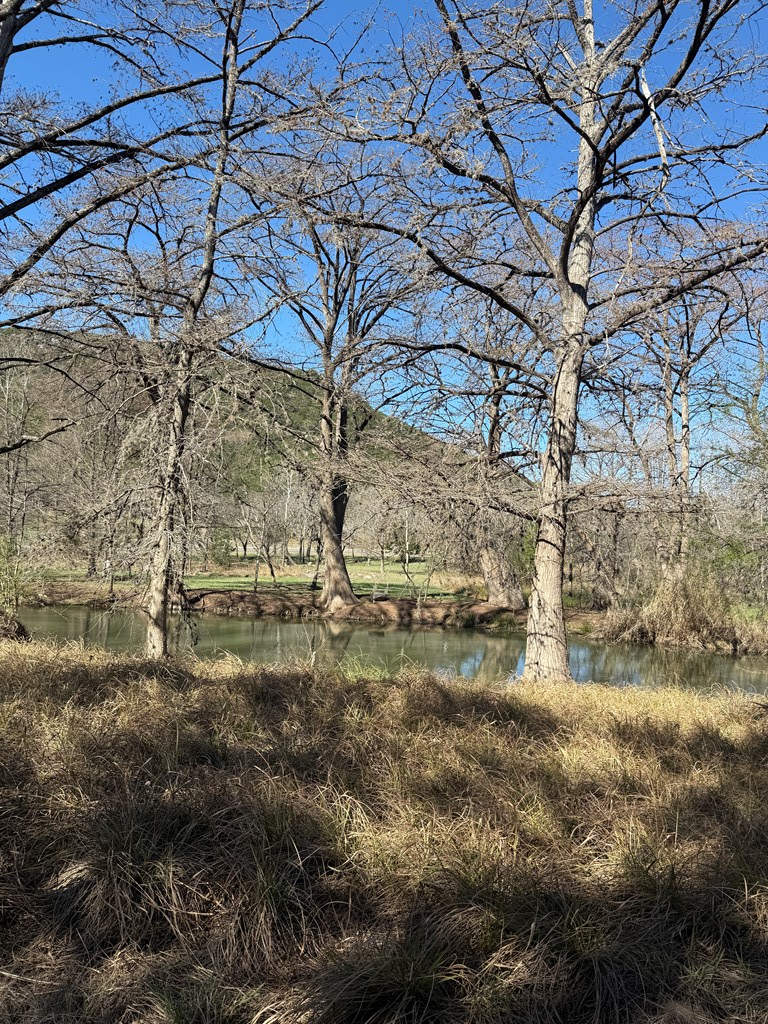 0 White Bluff Road Medina, TX 78055 - Photo 2 of 10 a view of a yard with large tree