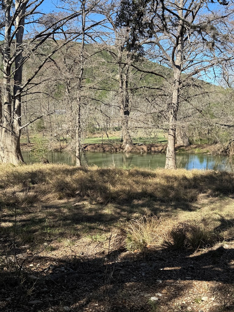 0 White Bluff Road Medina, TX 78055 - Photo 4 of 10 a view of residential houses with yard