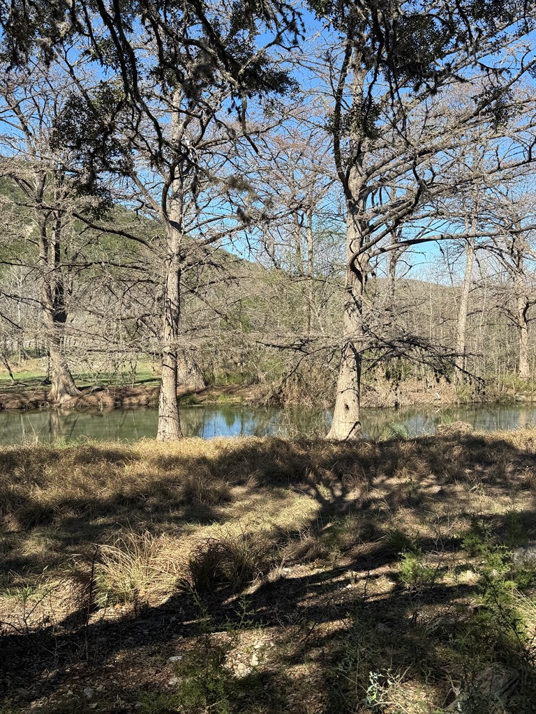 0 White Bluff Road Medina, TX 78055 - Photo 5 of 10