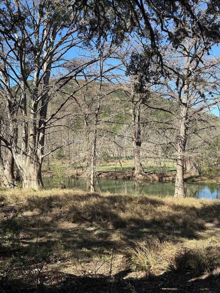 0 White Bluff Road Medina, TX 78055 - Photo 7 of 10