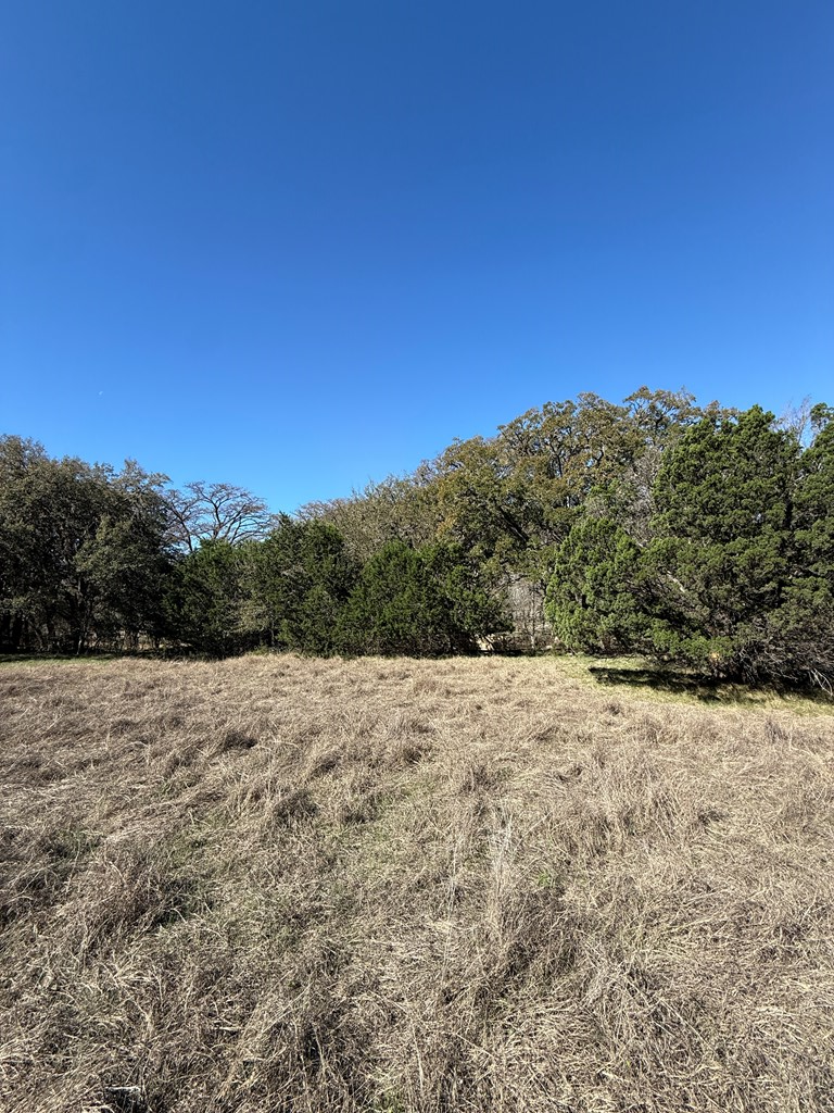 0 White Bluff Road Medina, TX 78055 - Photo 9 of 10