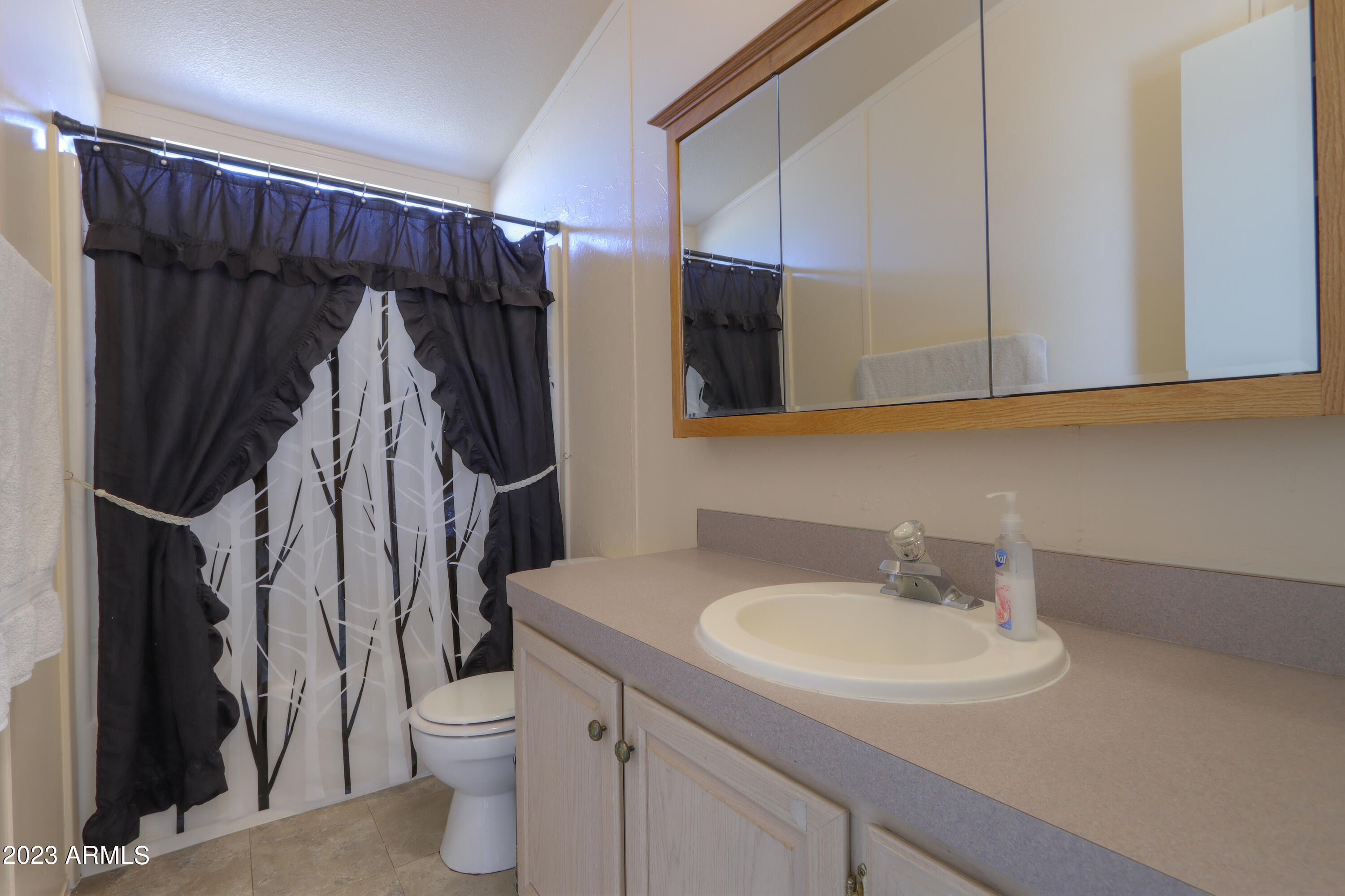 16242 Squatter Road Arizona City, AZ 85123 - Photo 13 of 15 36