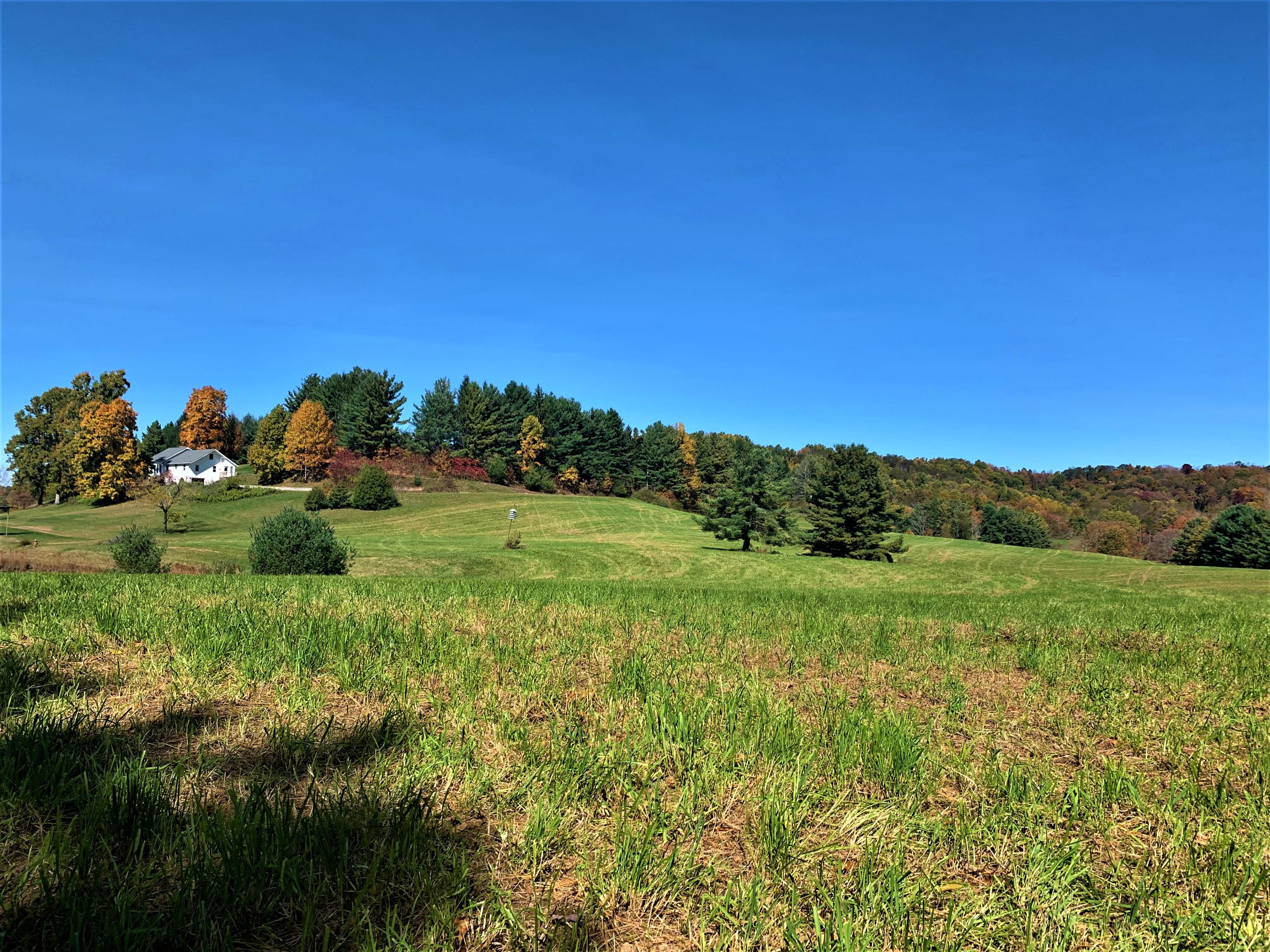 462 Thomas Loop Meadow Bridge, WV 25976 - Photo 48 of 53 Gallery Image 48
