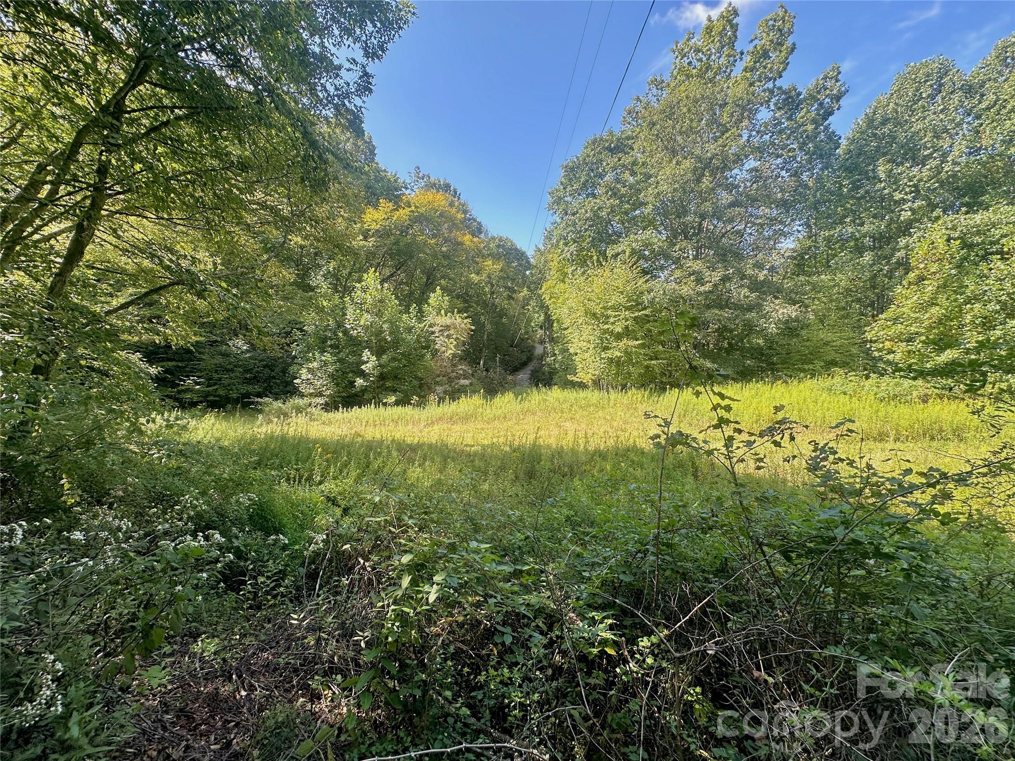 Tbd Old Anderson Quarry Road Vilas, NC 28692 - Photo 12 of 21
