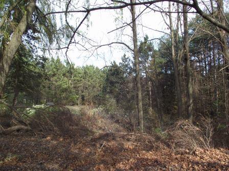 1316 East Chauvez Road Scottville, MI 49454 - Photo 97 of 121 DSCF6250