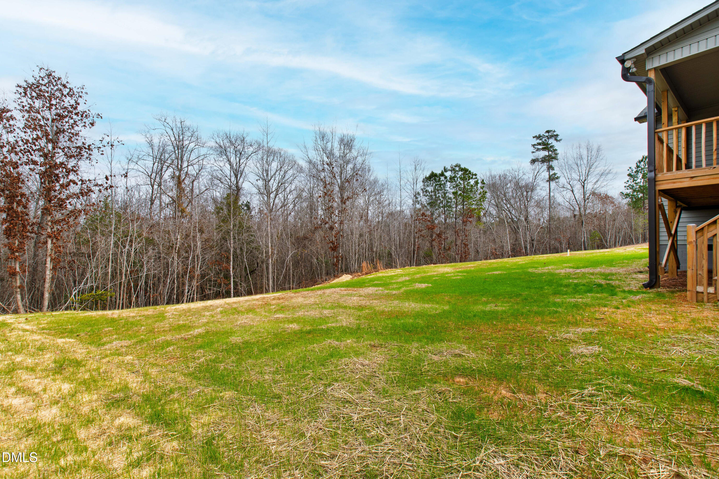 77 Falls Riv Court Broadway, NC 27505 - Photo 34 of 39 a view of a yard with a tree
