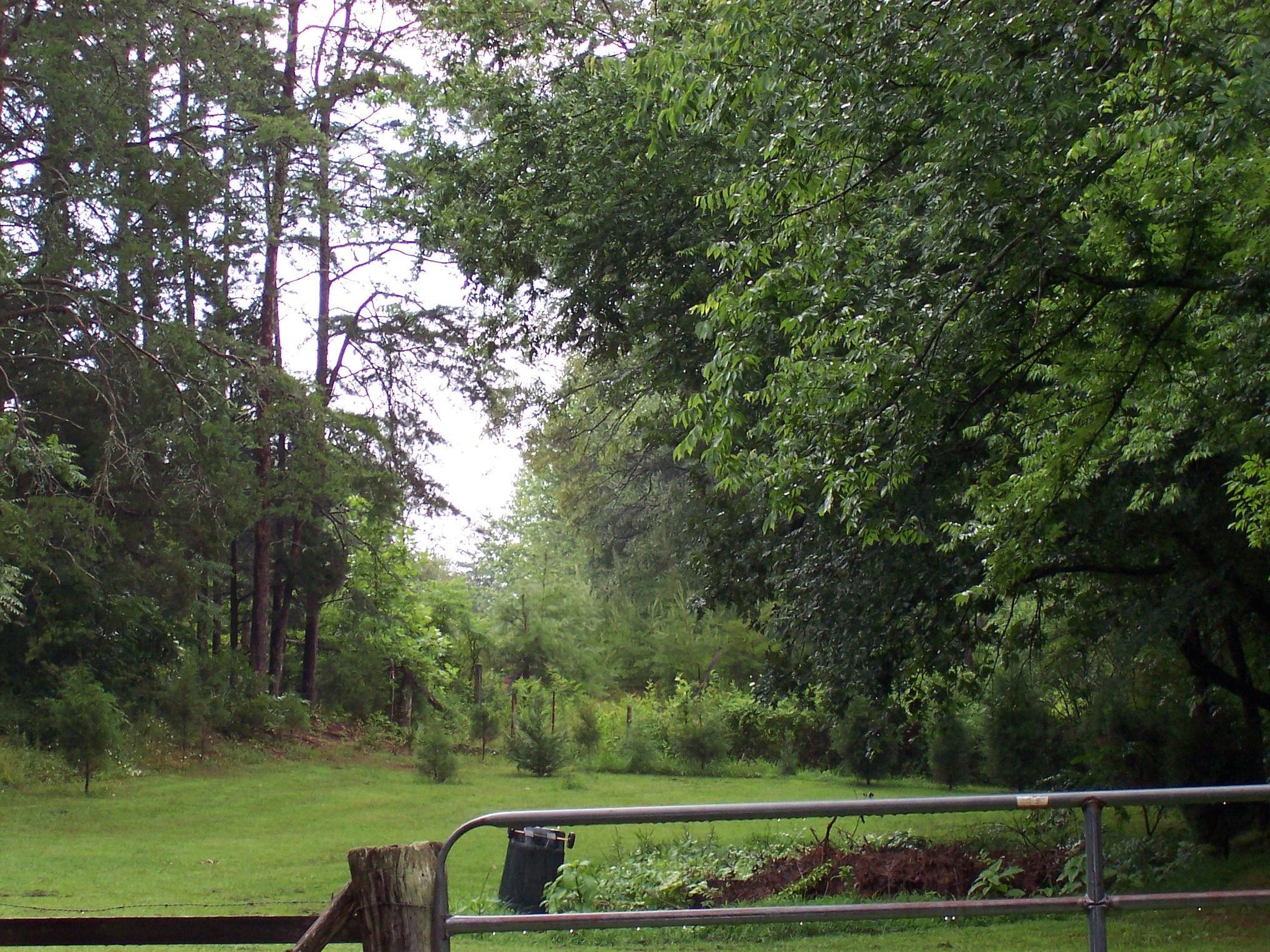 166 Akins Road Tellico Plains, TN 37385 - Photo 5 of 22 Gallery Image 5