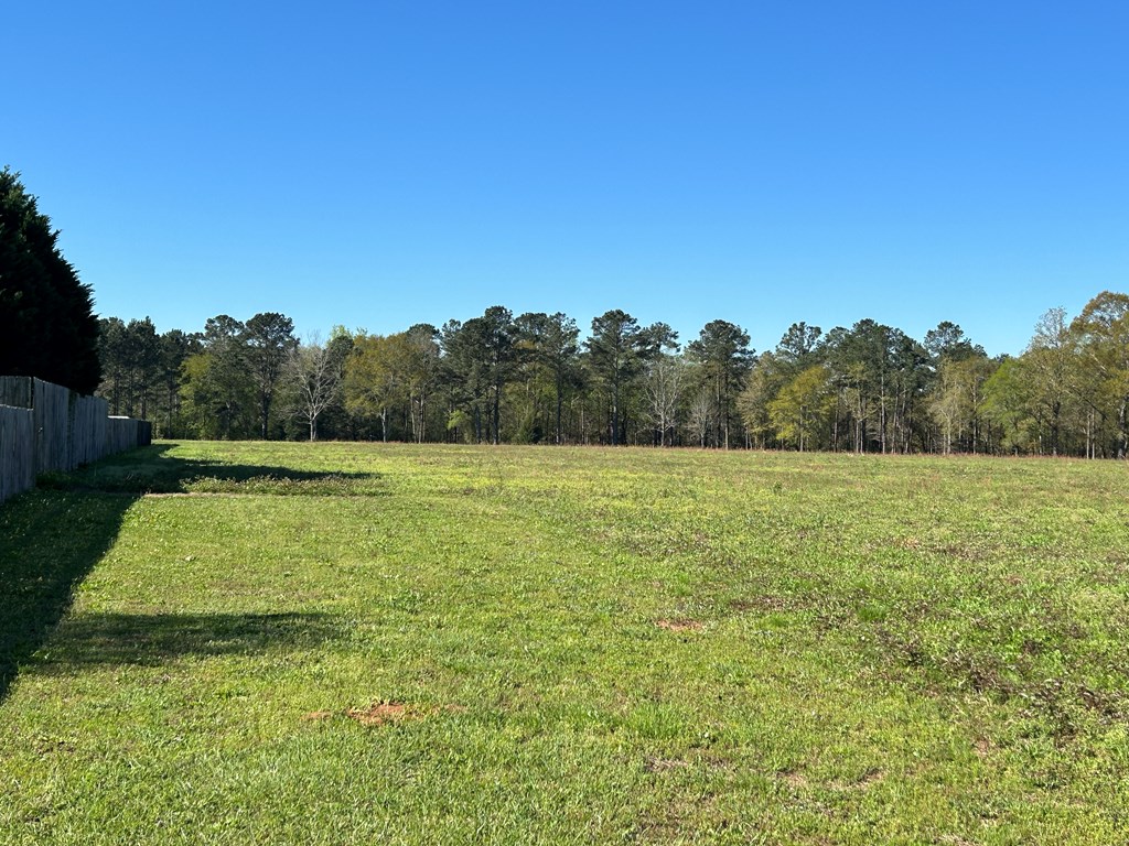 16.14-ac Lees Bridge Road Midland City, AL 36350 - Photo 9 of 28