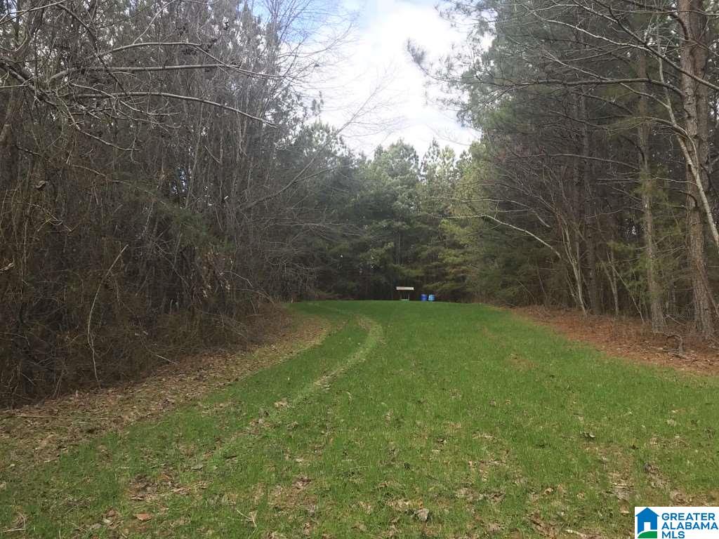 565 County Road, Unit DODGE Hanceville, AL 35077 - Photo 3 of 4