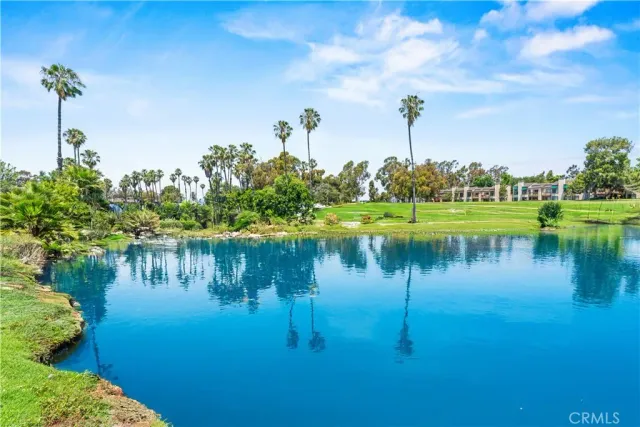 a potted plant sitting in front of a door
