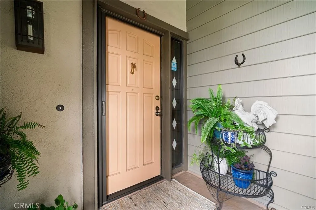 17 Verde, Unit 23 Irvine, CA 92612 - Photo 6 of 52 a potted plant sitting in front of a door