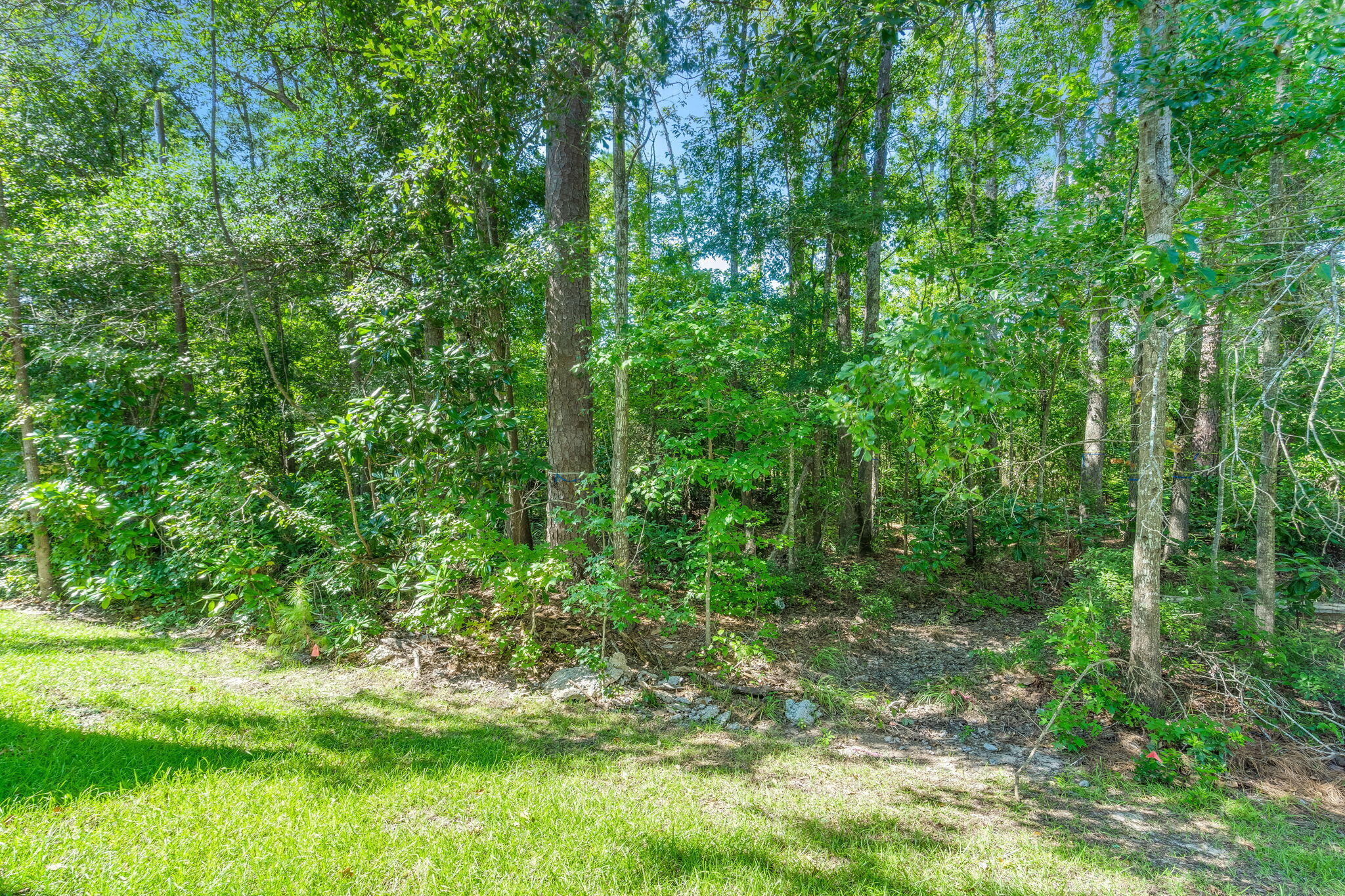 125 Orchid Bloom Circle Moncks Corner, SC 29461 - Photo 27 of 27 27