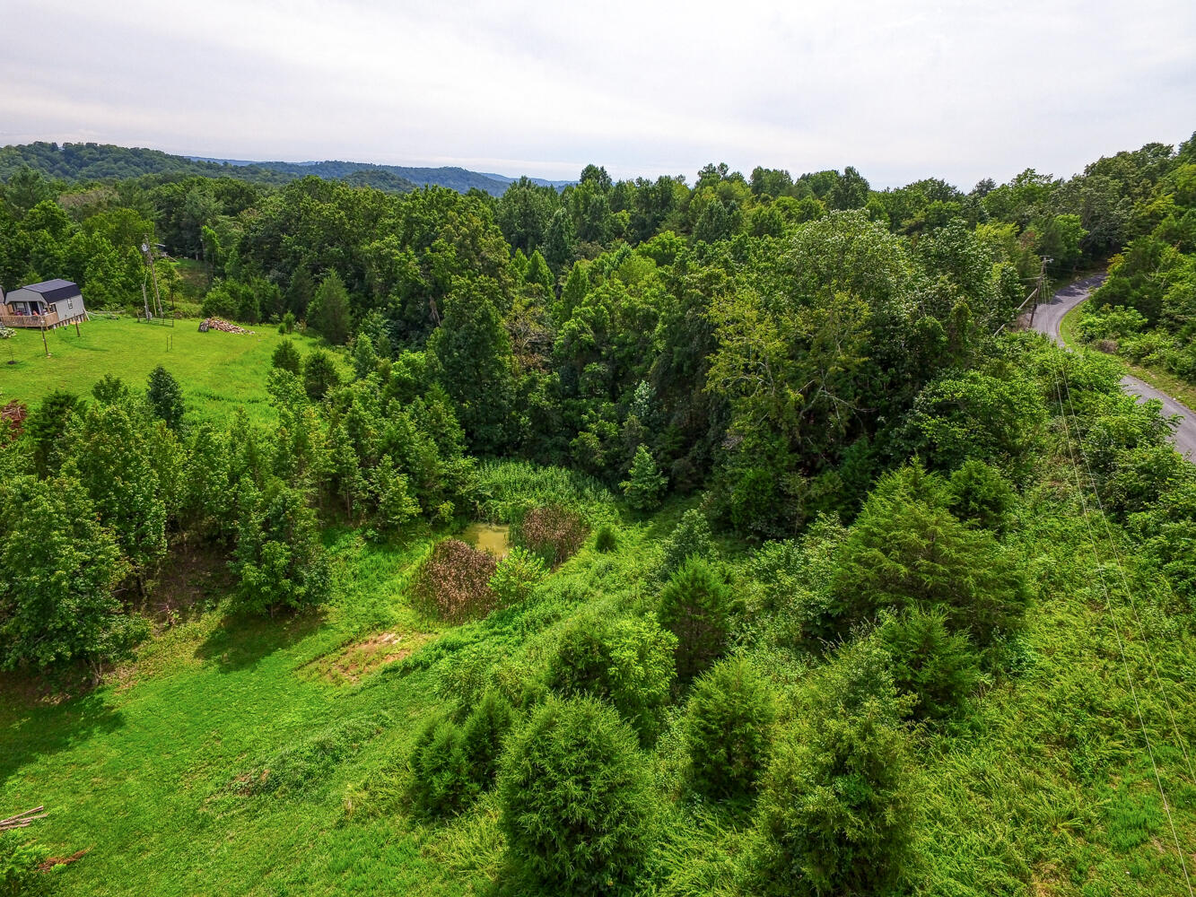 Tbd2 Richards Road Rogersville, TN 37857 - Photo 1 of 27 CBJ. Richards 19ac. Rog MLSa (1 of 27)