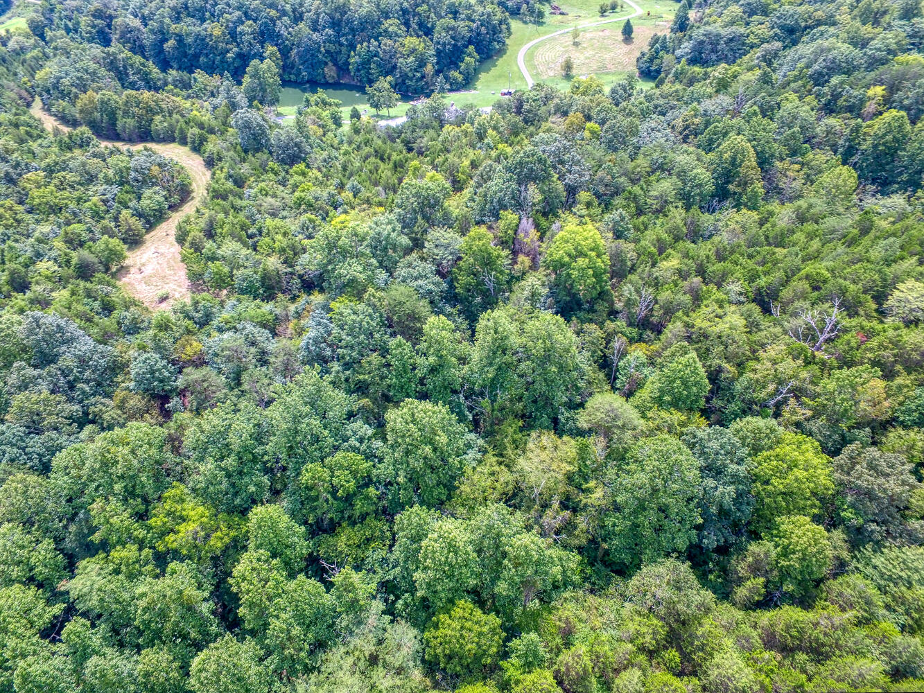 Tbd2 Richards Road Rogersville, TN 37857 - Photo 18 of 27 CBJ. Richards 19ac. Rog MLSa (18 of 27)