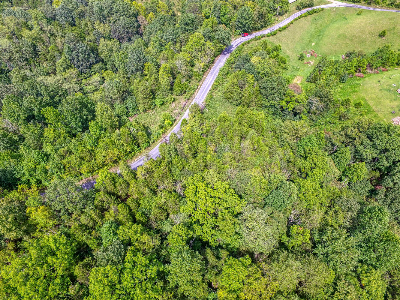 Tbd2 Richards Road Rogersville, TN 37857 - Photo 19 of 27 CBJ. Richards 19ac. Rog MLSa (19 of 27)