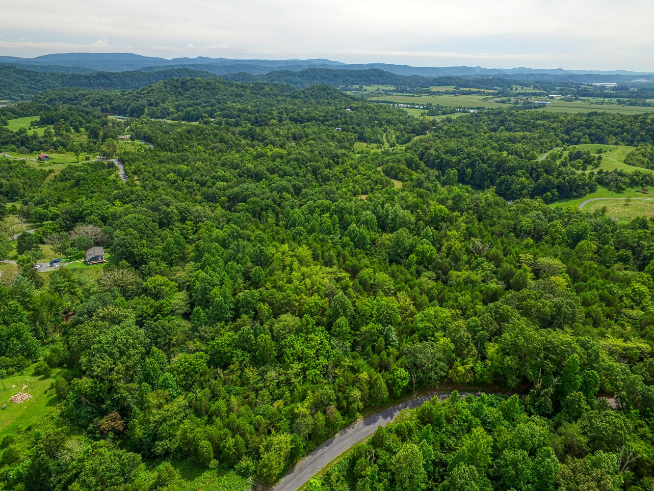 Tbd2 Richards Road Rogersville, TN 37857 - Photo 24 of 27 CBJ. Richards 19ac. Rog MLSa (24 of 27)