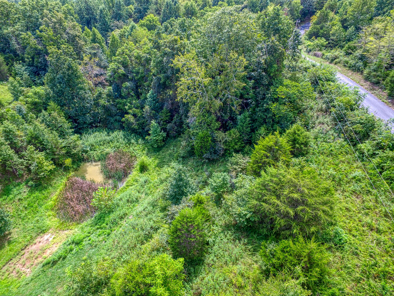 Tbd2 Richards Road Rogersville, TN 37857 - Photo 25 of 27 CBJ. Richards 19ac. Rog MLSa (25 of 27)