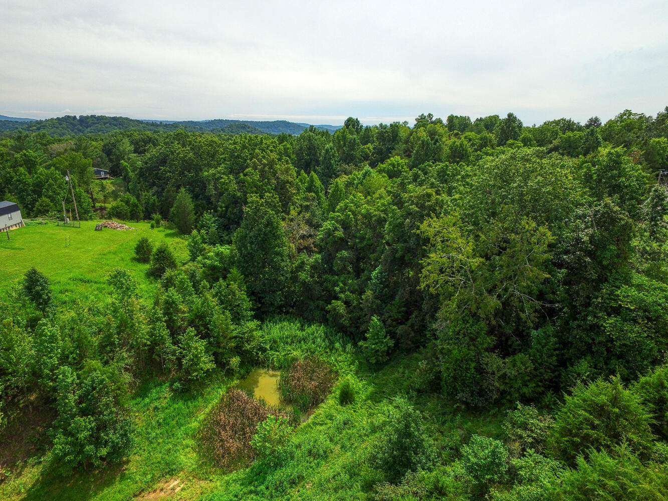 Tbd2 Richards Road Rogersville, TN 37857 - Photo 26 of 27 CBJ. Richards 19ac. Rog MLSa (26 of 27)