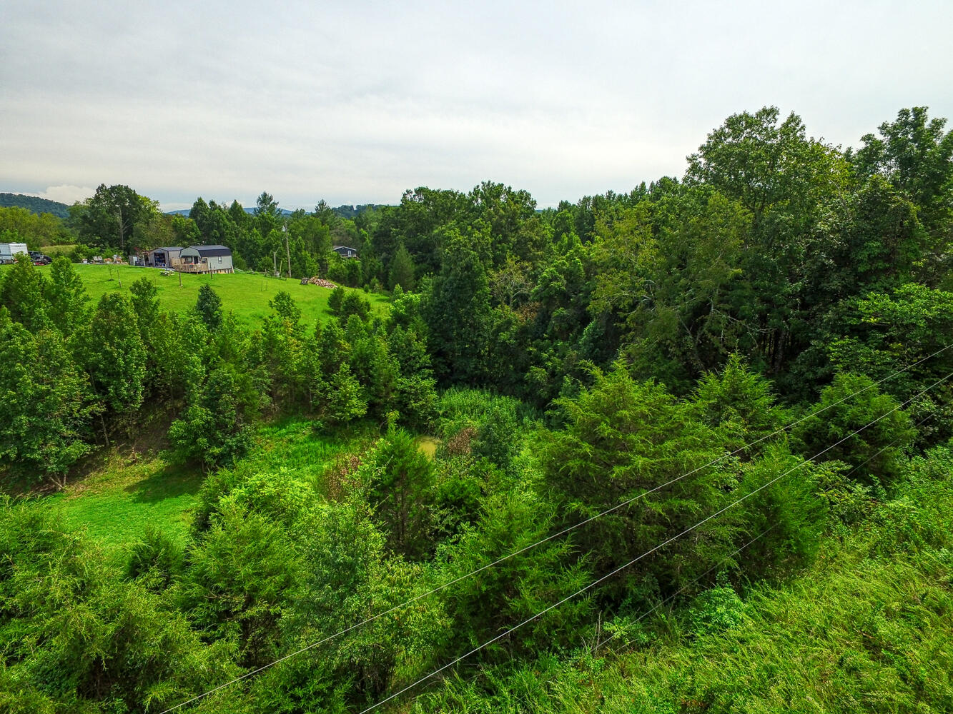 Tbd2 Richards Road Rogersville, TN 37857 - Photo 27 of 27 CBJ. Richards 19ac. Rog MLSa (27 of 27)