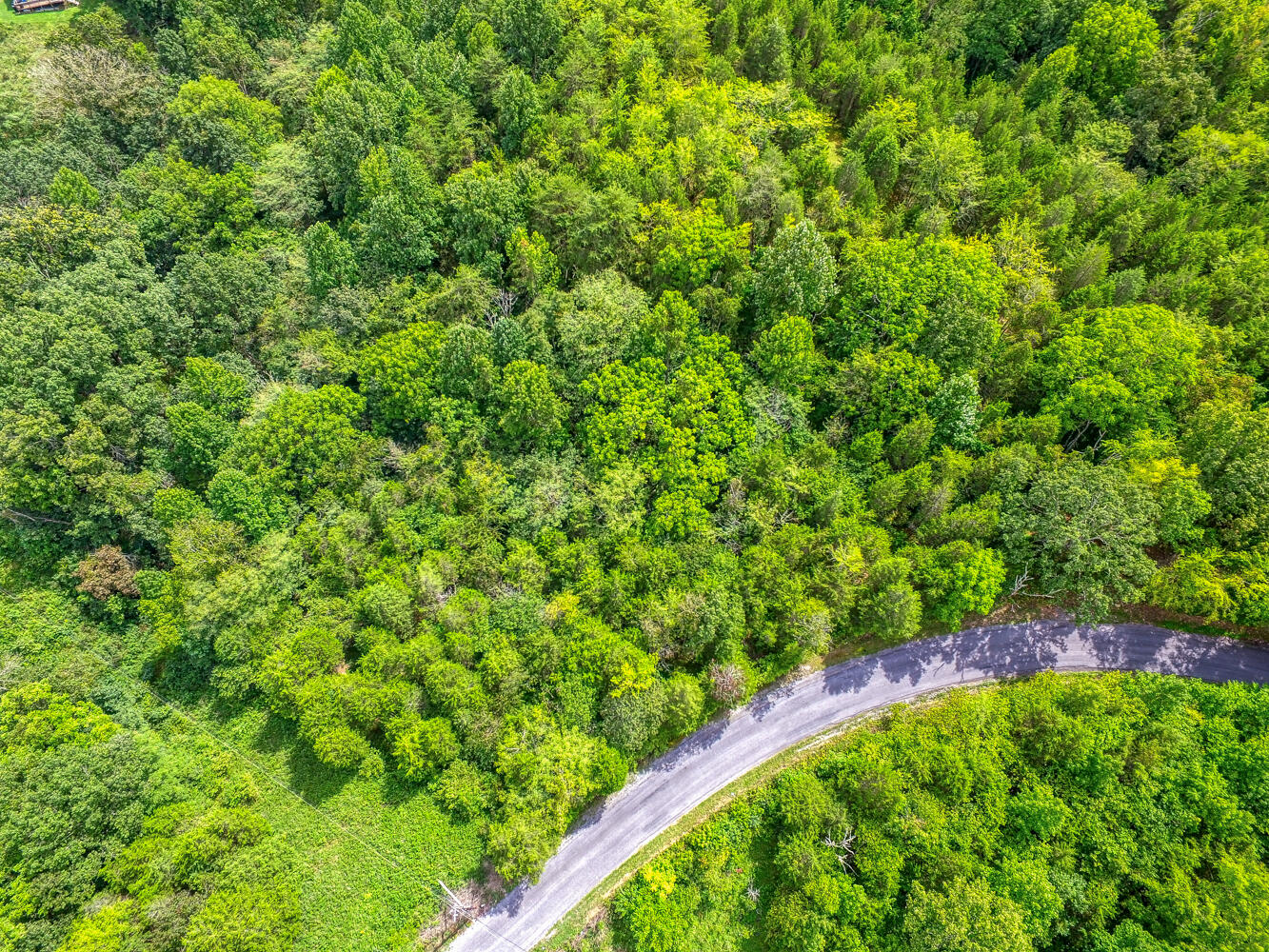Tbd2 Richards Road Rogersville, TN 37857 - Photo 6 of 27 CBJ. Richards 19ac. Rog MLSa (6 of 27)
