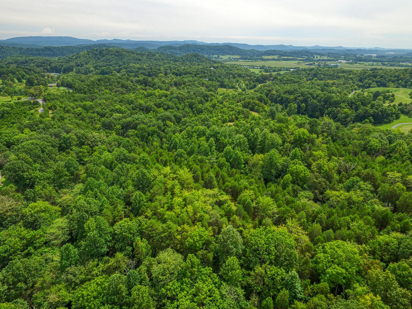 Tbd2 Richards Road Rogersville, TN 37857 - Photo 7 of 27 CBJ. Richards 19ac. Rog MLSa (7 of 27)