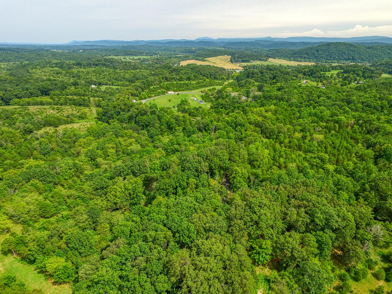 Tbd2 Richards Road Rogersville, TN 37857 - Photo 10 of 27 CBJ. Richards 19ac. Rog MLSa (10 of 27)