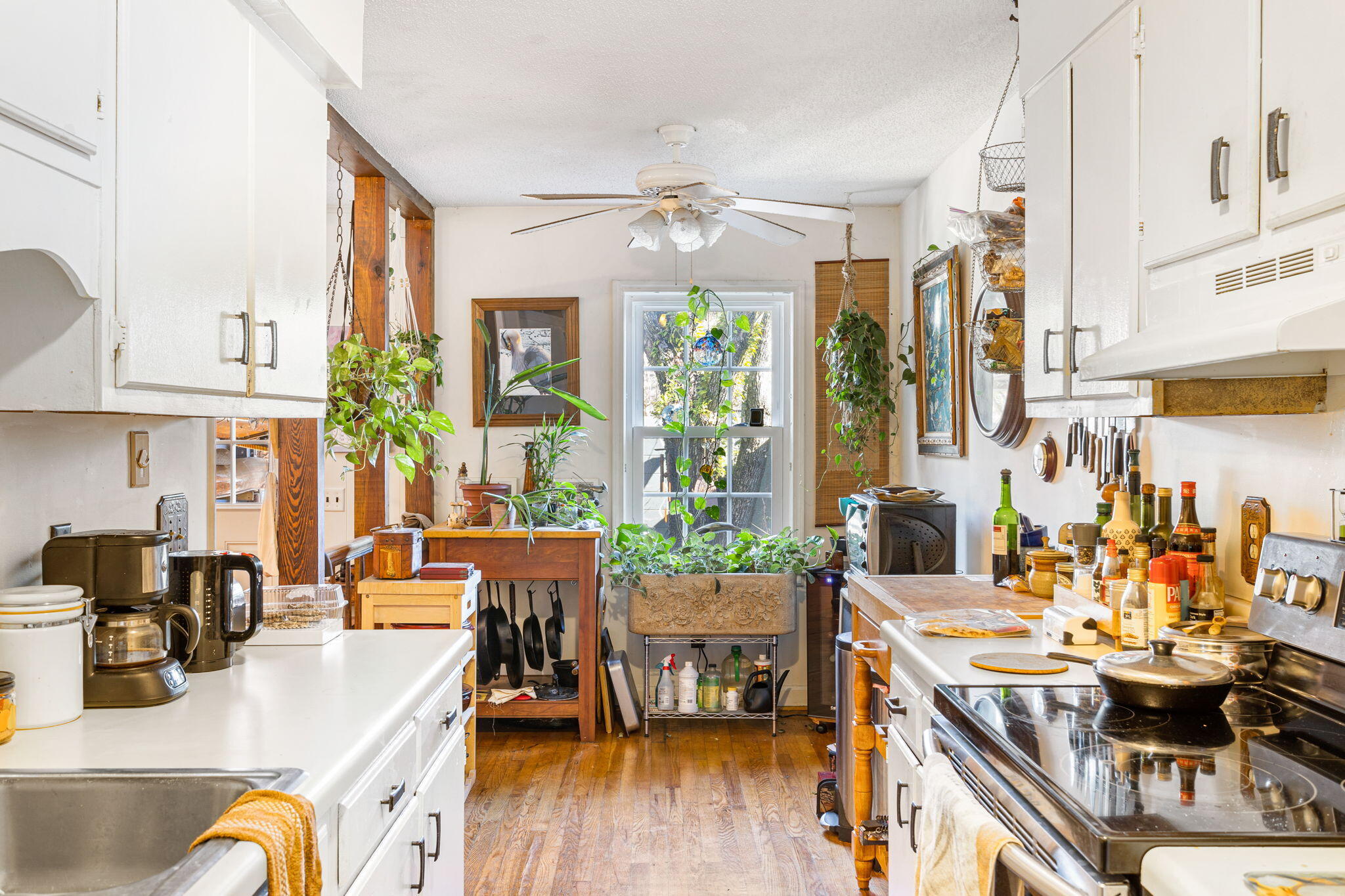 1288 Ashley Hall Road Charleston, SC 29407 - Photo 6 of 15 6-web-or-mls-1288 Ashley Hall Rd Coastal