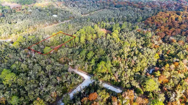 a view of a tree with a tree