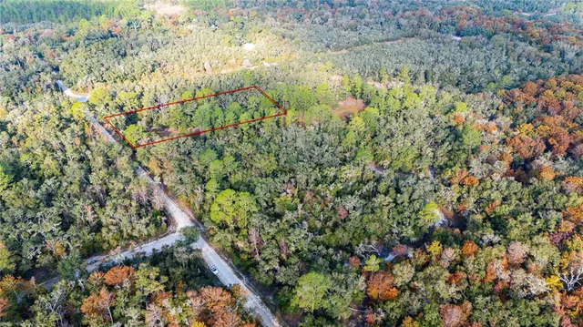 a view of a yard with plants and wooden fence