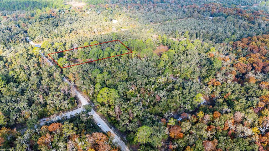 0 Rose Bloom Avenue Webster, FL 33597 - Photo 11 of 11 a view of a yard with plants and wooden fence
