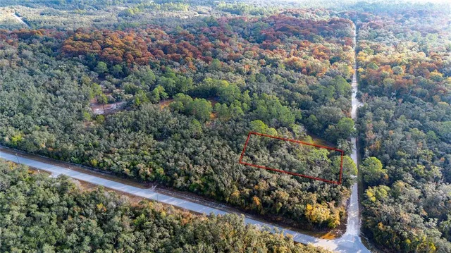 a view of a garden with an outdoor space