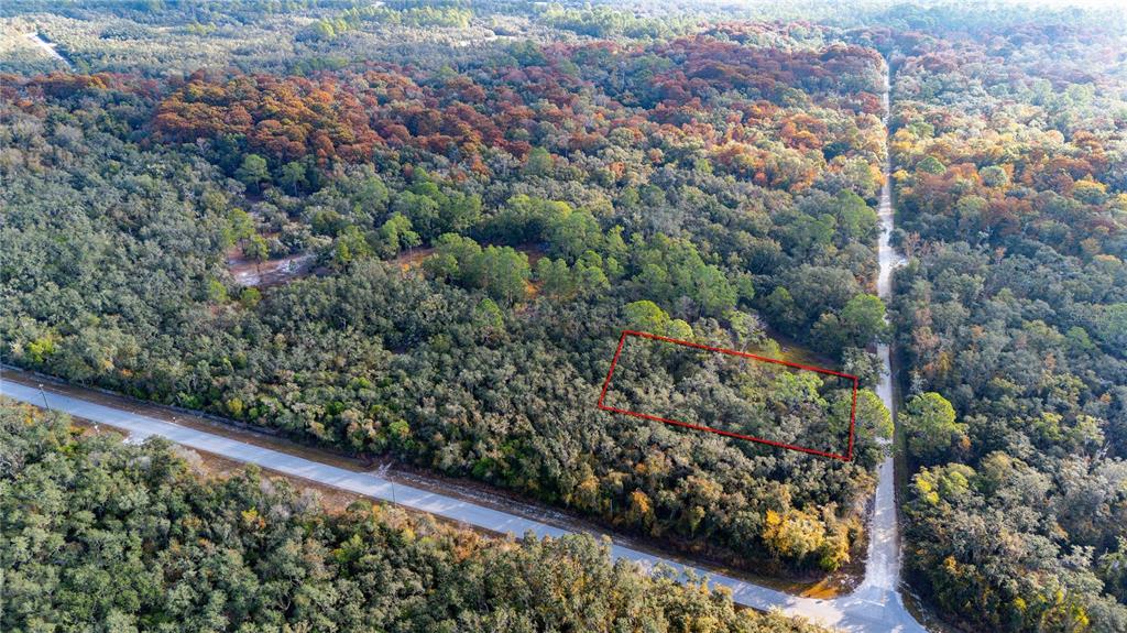 0 Rose Bloom Avenue Webster, FL 33597 - Photo 4 of 11 a view of a garden with an outdoor space
