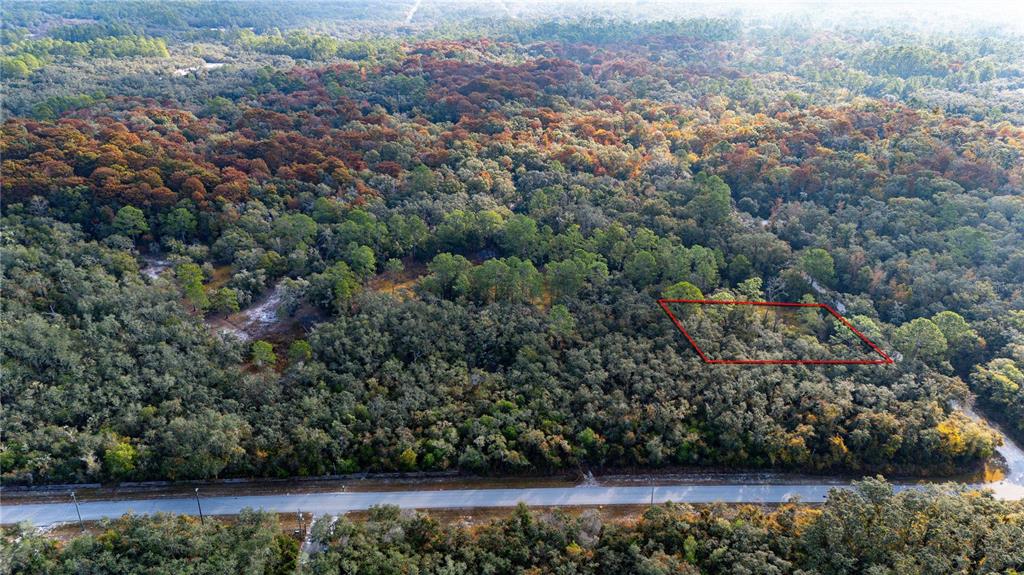 0 Rose Bloom Avenue Webster, FL 33597 - Photo 5 of 11 an aerial view of residential house with outdoor space