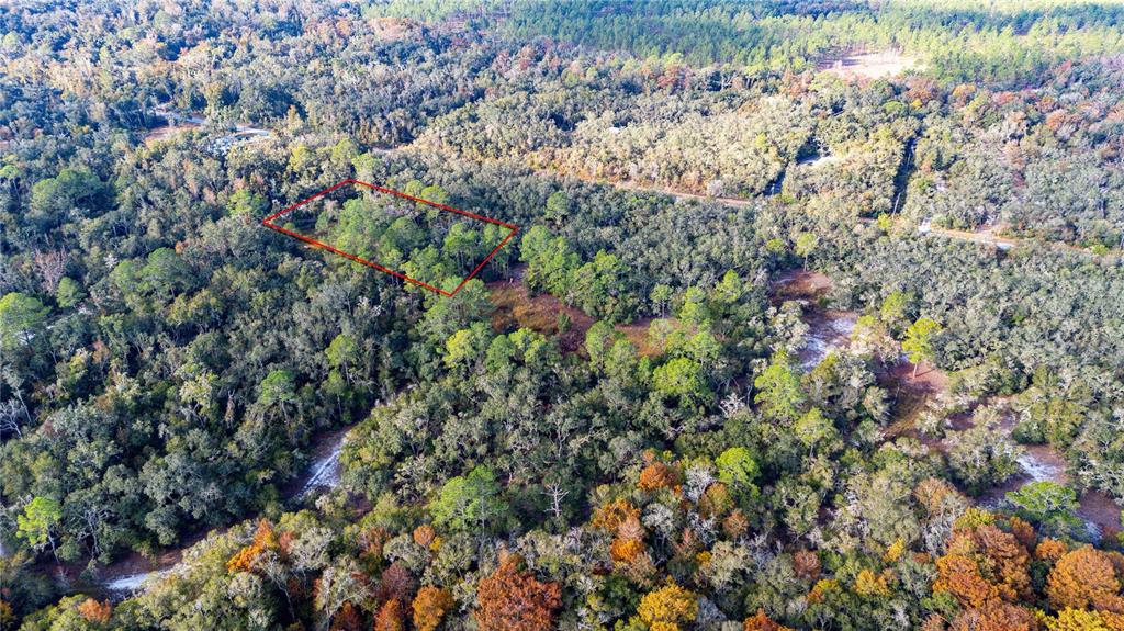 0 Rose Bloom Avenue Webster, FL 33597 - Photo 9 of 11 unknown