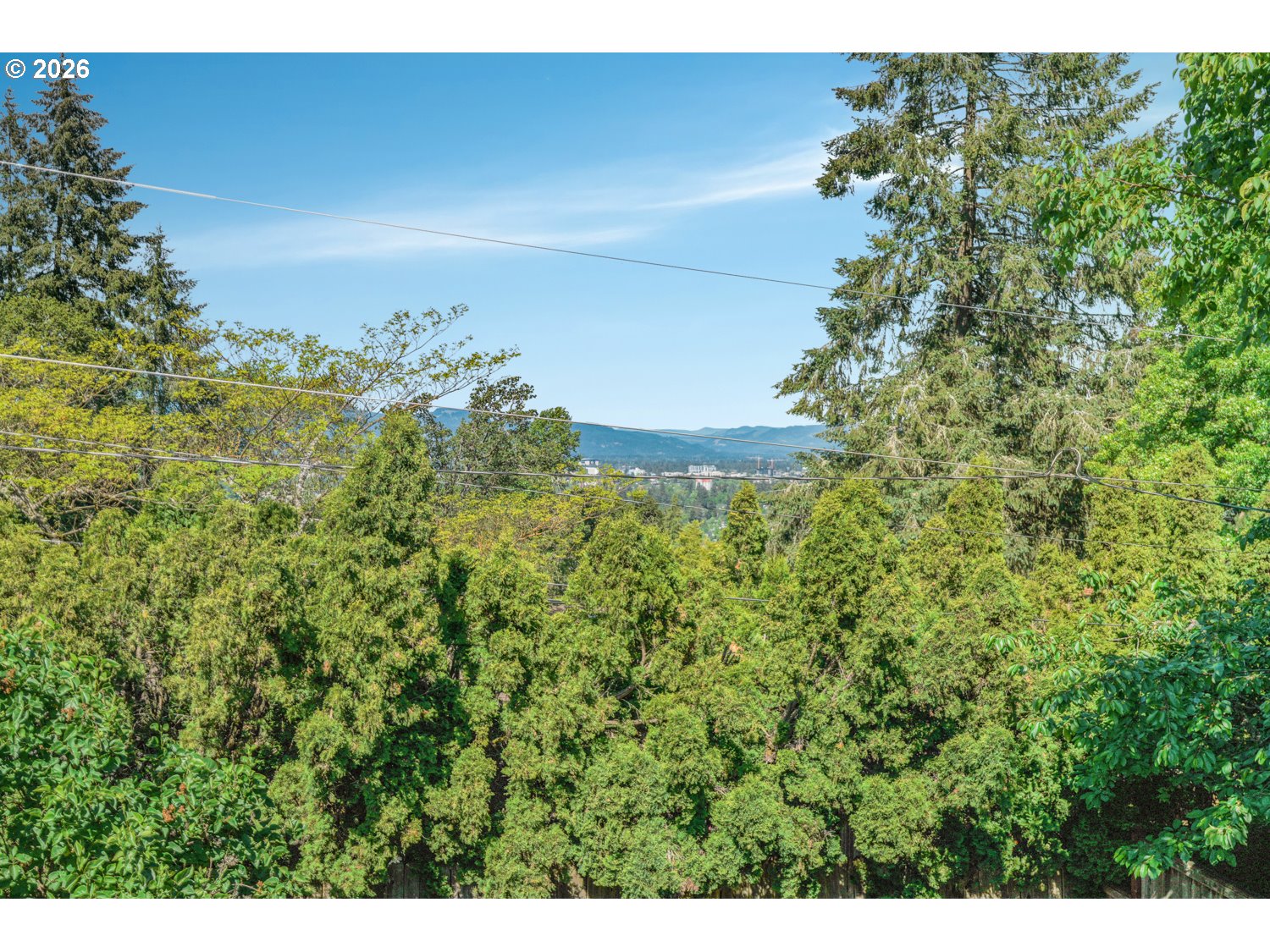 2225 West 28th Avenue Eugene, OR 97405 - Photo 8 of 34
