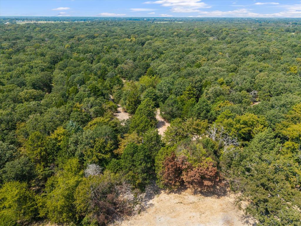 3166 Fm 316 Mabank, TX 75147 - Photo 16 of 22 a view of a big yard with lots of trees