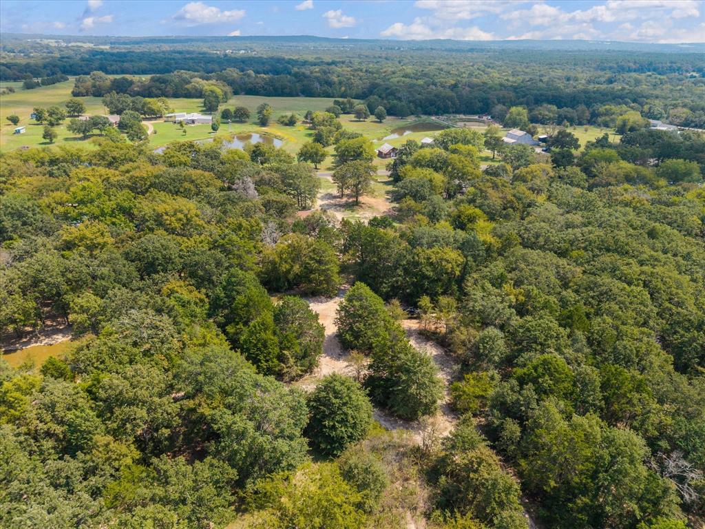 3166 Fm 316 Mabank, TX 75147 - Photo 17 of 22 a view of a city with mountains in the background