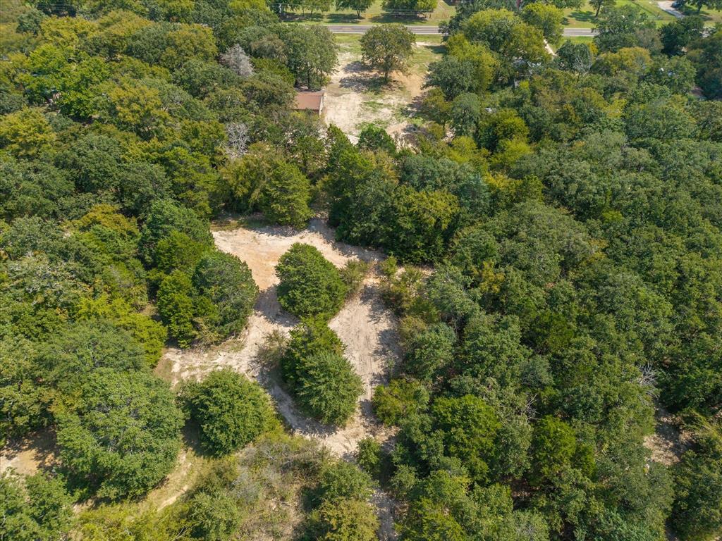 3166 Fm 316 Mabank, TX 75147 - Photo 18 of 22 a view of a forest