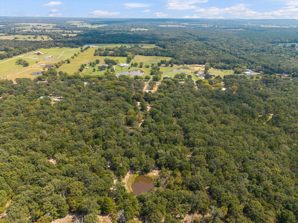 3166 Fm 316 Mabank, TX 75147 - Photo 19 of 22 a view of a city with an ocean beach