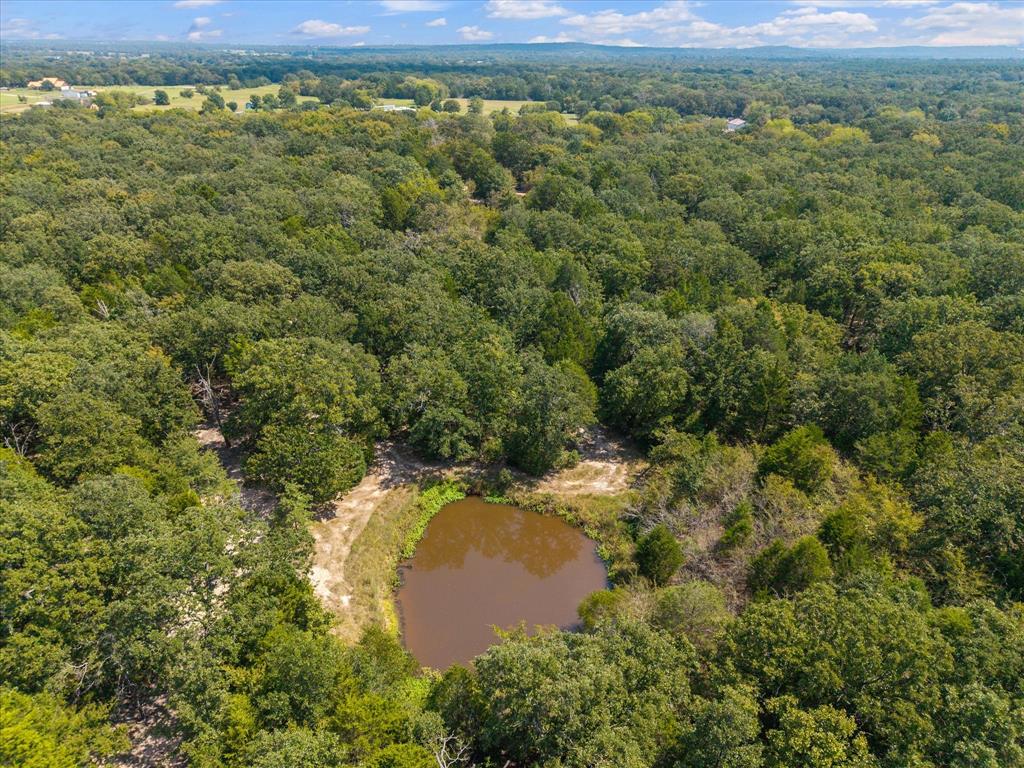 3166 Fm 316 Mabank, TX 75147 - Photo 20 of 22 a view of a lake with a mountain and a forest