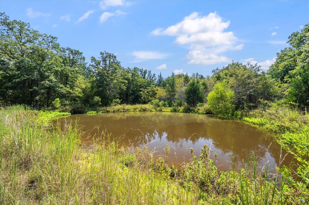 3166 Fm 316 Mabank, TX 75147 - Photo 3 of 22 a view of lake with green space