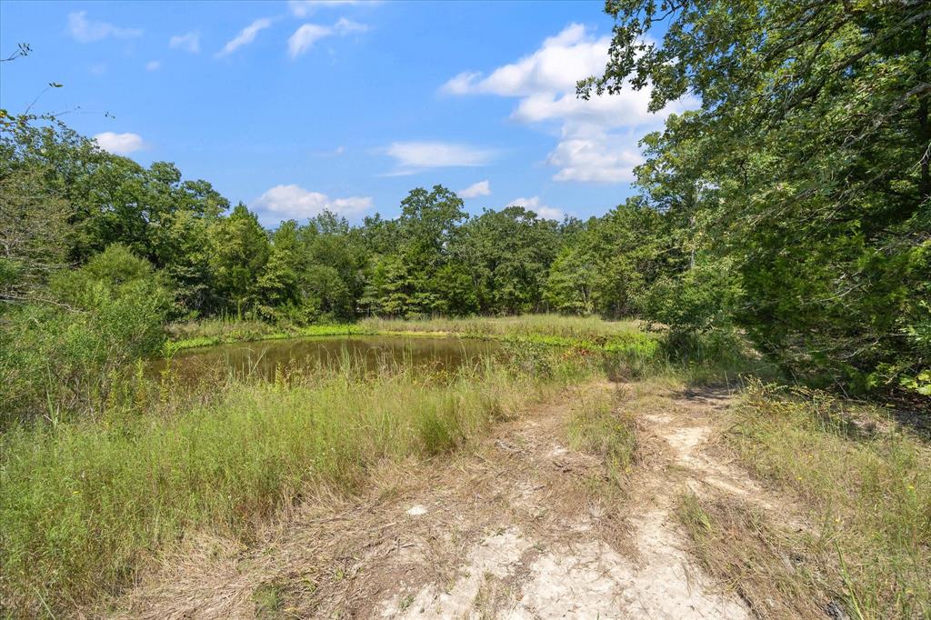 3166 Fm 316 Mabank, TX 75147 - Photo 4 of 22 a view of lake with green space