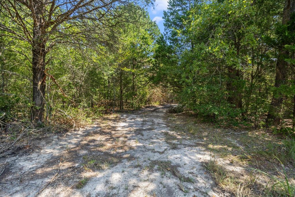3166 Fm 316 Mabank, TX 75147 - Photo 5 of 22 a view of outdoor space and tree