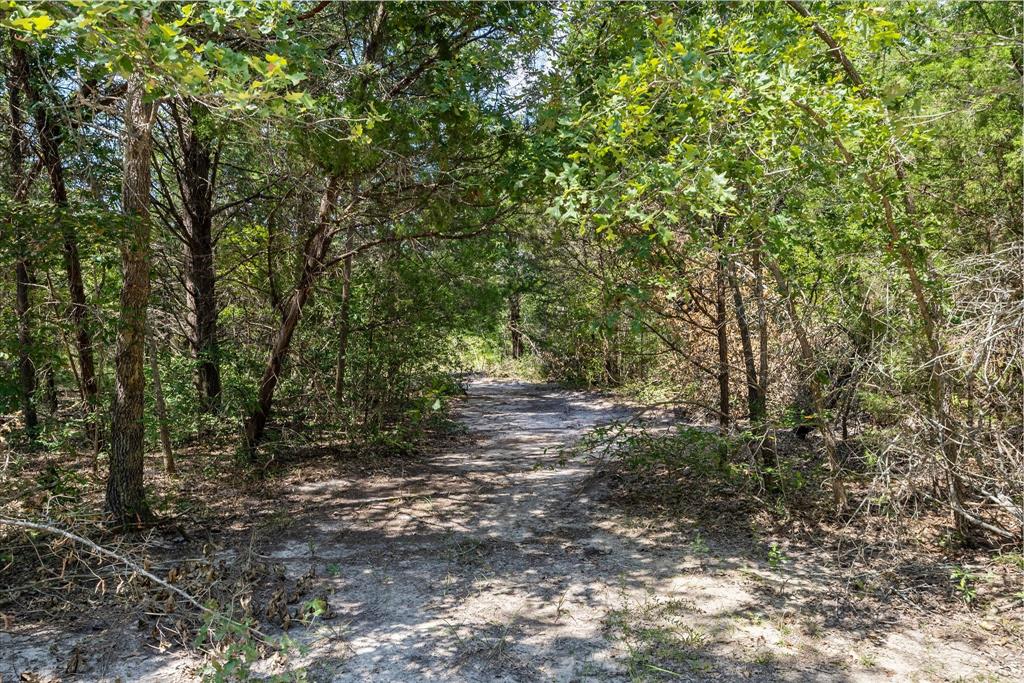 3166 Fm 316 Mabank, TX 75147 - Photo 6 of 22 a view of a forest with trees in the background