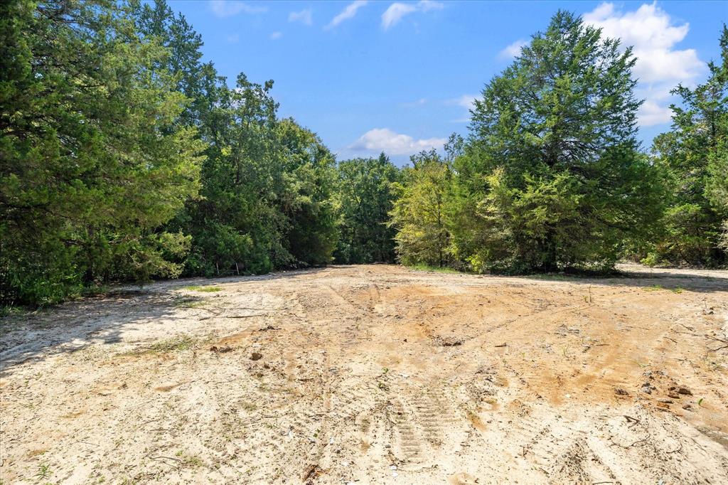 3166 Fm 316 Mabank, TX 75147 - Photo 9 of 22 a view of empty yard with trees