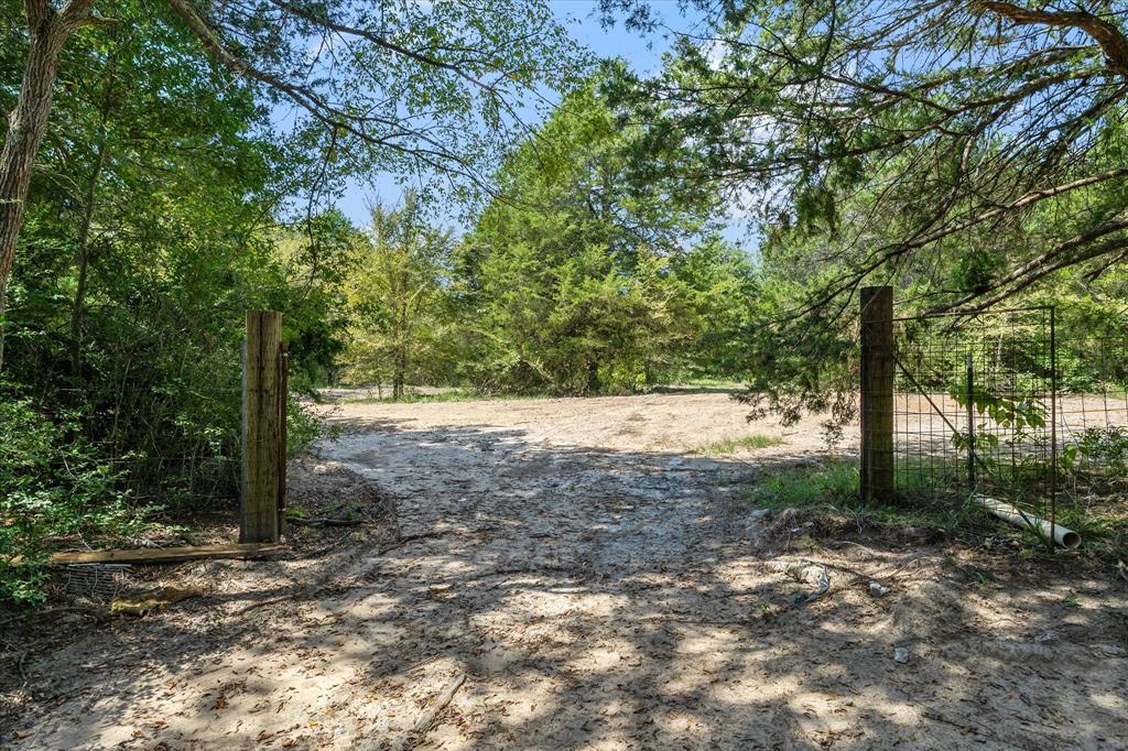 3166 Fm 316 Mabank, TX 75147 - Photo 10 of 22 a view of a yard with trees