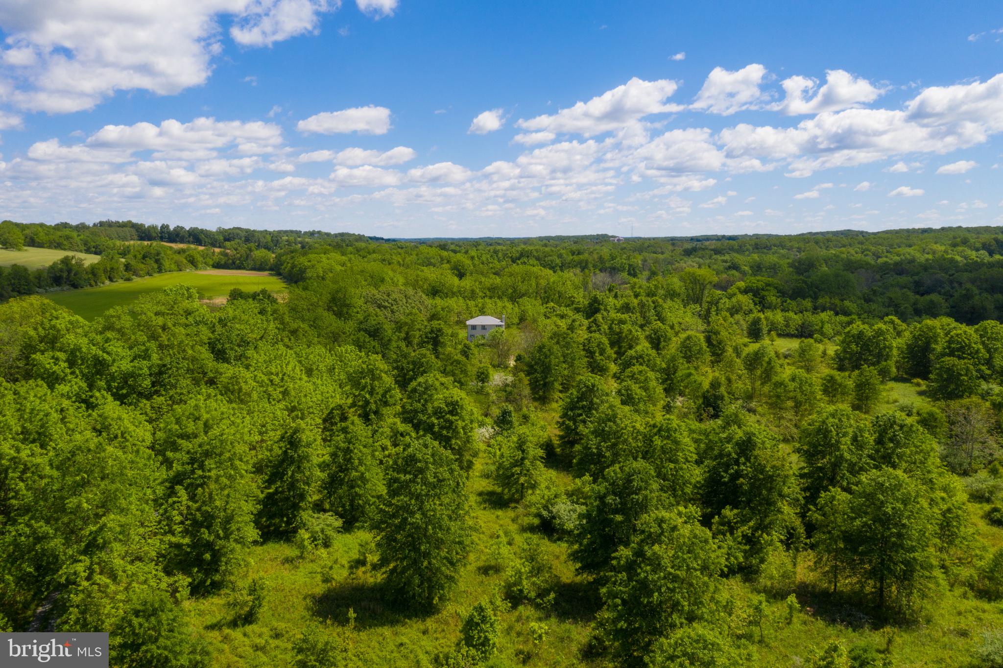 17301 Conoy Road Barnesville, MD 20838 - Photo 2 of 48 16.47 Very Private Acres