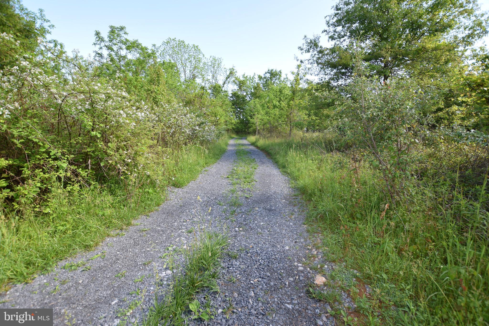 17301 Conoy Road Barnesville, MD 20838 - Photo 14 of 48 Long and Level Driveway Leading to Home